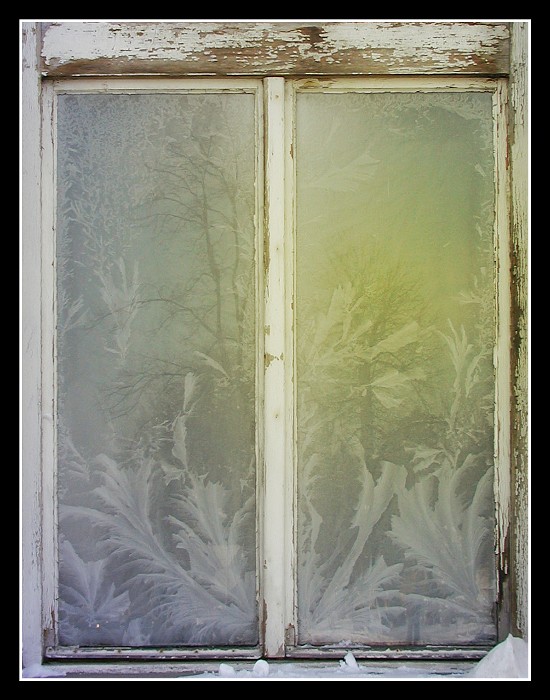 Okno do zimy