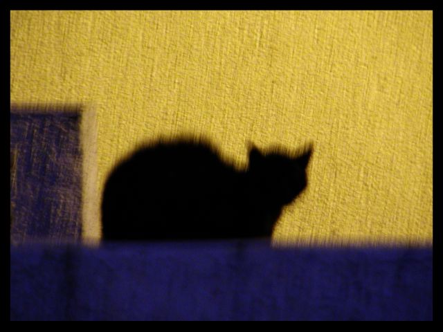 duch noci (bez digi uprav!)