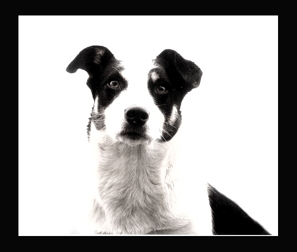 Black & white !