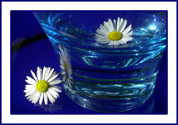 Rhapsody in blue II.