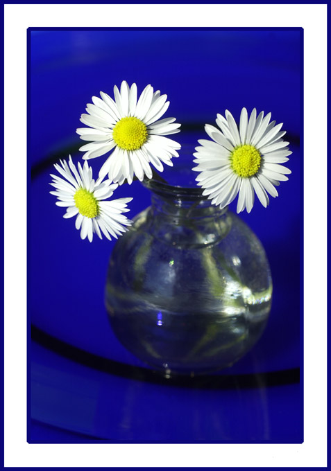 Rhapsody in blue III.