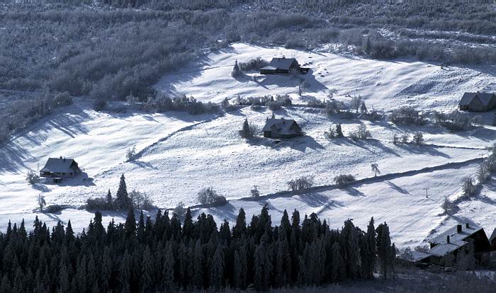 Ve svetle mesice