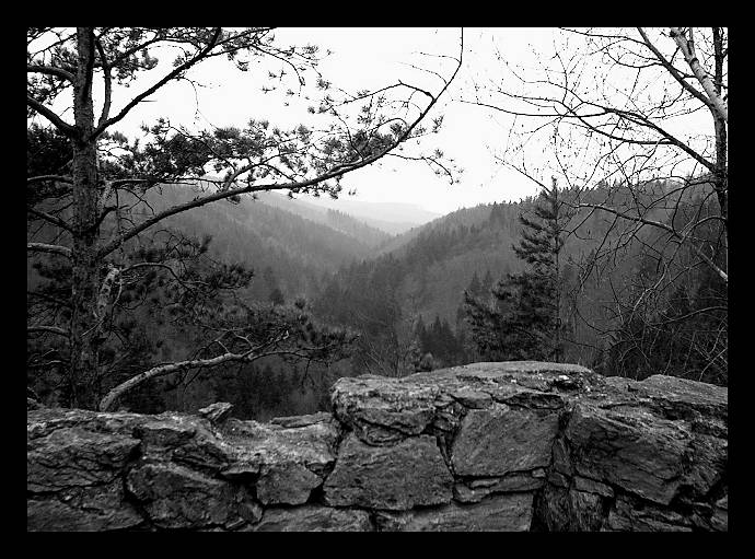 Pohled do údolí