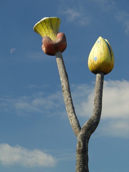 Kytka jako 1000 jiných