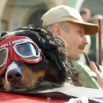 Spokojený pilot