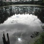 Rybnik, bahnity lec krasny