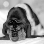 Po srážce s lokomotivou