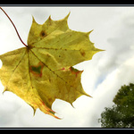 PPP - první podzimní pozdrav