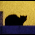 duch noci (bez digi uprav!)