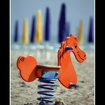 Kůň na pláži ... :-)