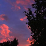 kontrasty západové