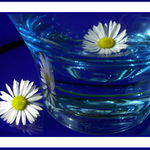 Rhapsody in blue II.
