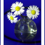 Rhapsody in blue III.