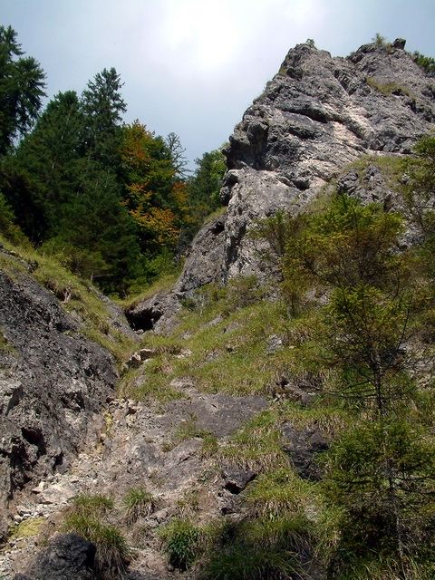 bobrovska dolina - tiesnavy