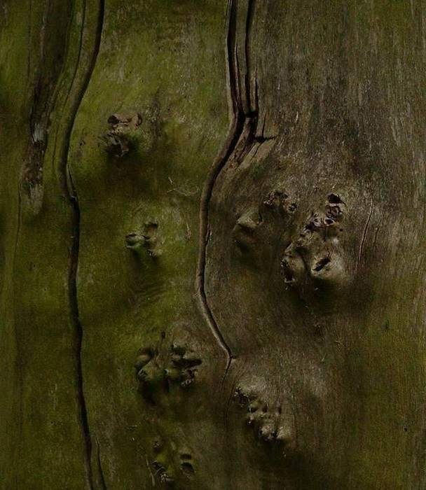 Plastická mapa?