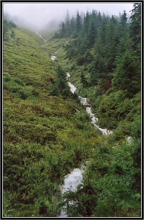 Krkonoše po dešti