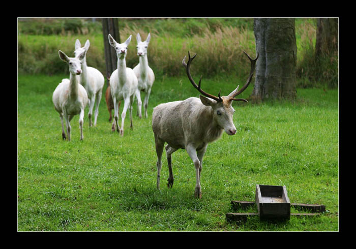 Pojďte k večeři