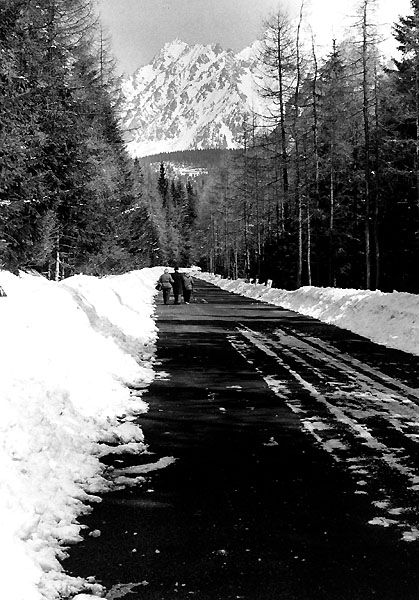 Vysoké Tatry