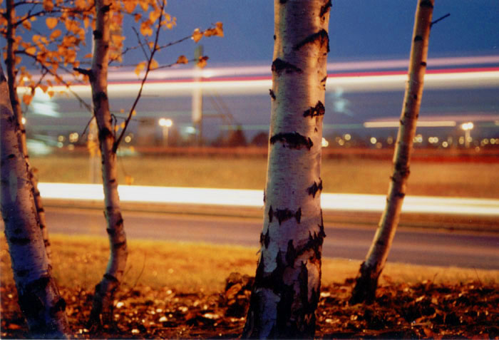 autobus