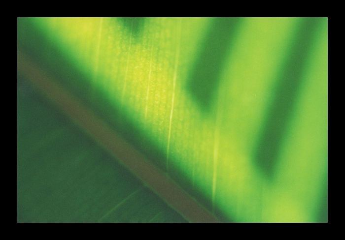 InfraGreen