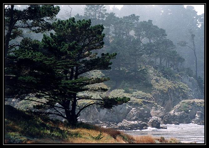 Western Coast