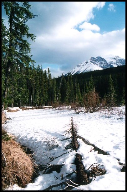 Lake Louise 2, BC