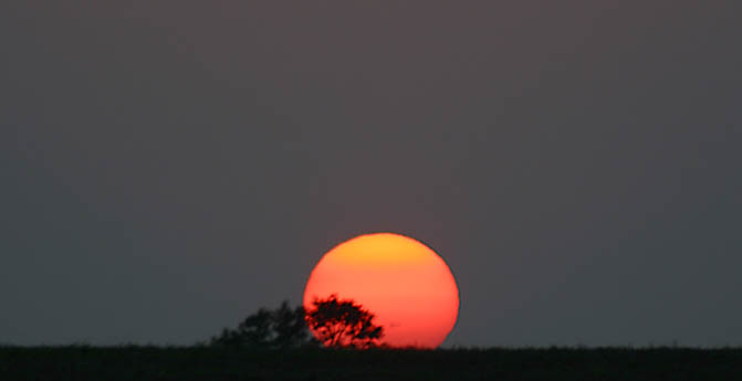 Fat Old Sun