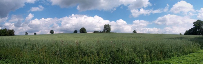 Panorama