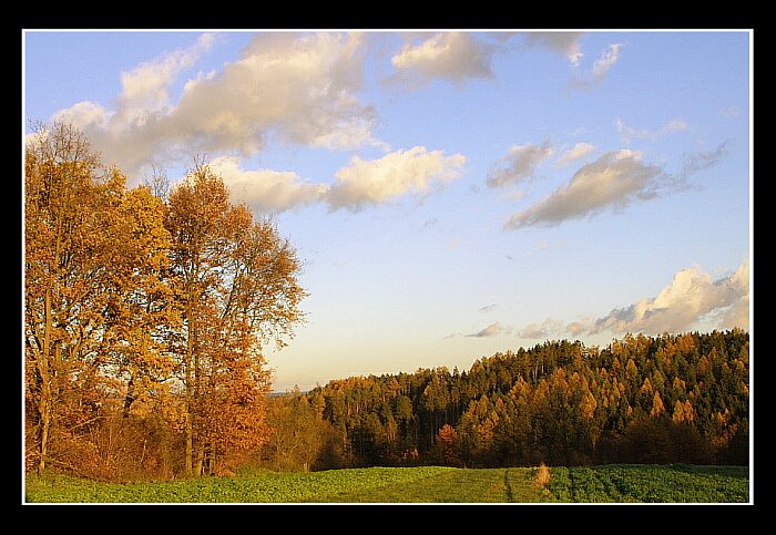 Krajina xx