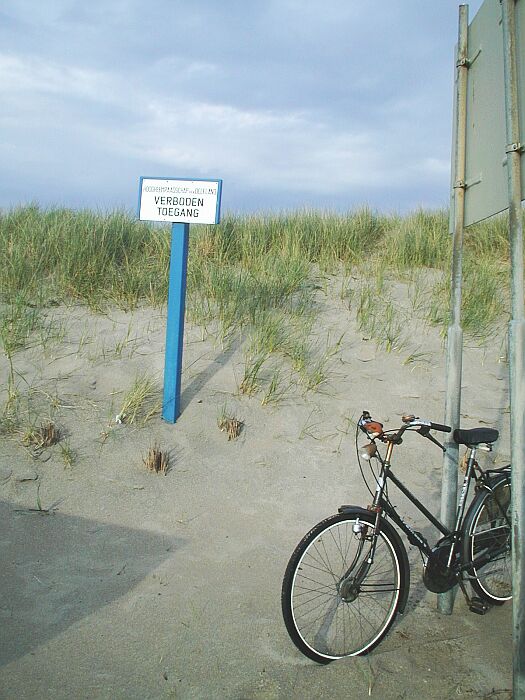 Kolo v holandských Antverpách