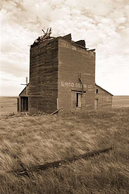 Bingo Grain