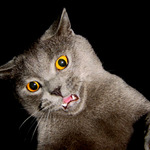 ...a už mě s tím focením ...