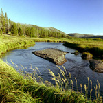 Kde kojoti dávají dobrou noc