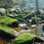 Pozůstatky doby ledové