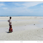 Thajsko ::: Ko Samui