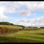 Podzim na samotě u lesa