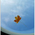 Podzim za střešním oknem...