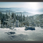 Byl jsem tu! Zajíc ...