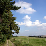 Cesta