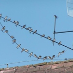 Tak kdy poletíme, holky?