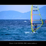 Windsurfer