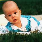 travička zelená...