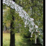 Zmrzlá krása - 3 (a naposledy)