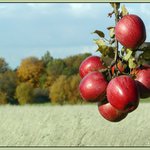 Jen si utrhněte ...