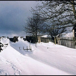 Pročevily - Únor 2002