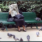 Park St. Germaine des Pres