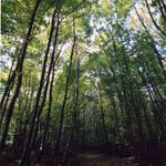 Male Karpaty