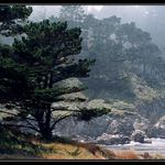Western Coast