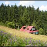 Chaloupka v Beskydech