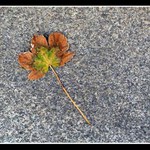 ...zivot dodychal...